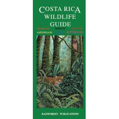 Costa Rica Wildlife Guide