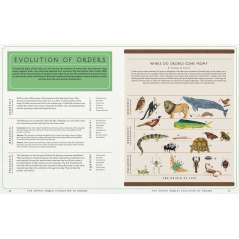 The Animal World: The Amazing Connections and Diversity Found in the Animal Family Tree