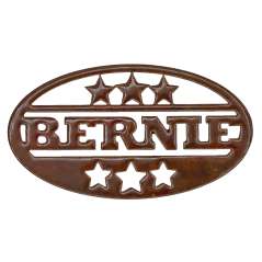 Bernie - Magnet - Paracay
