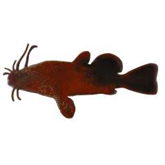 Catfish - Magnet - Paracay