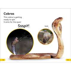 DK Super Readers Level 2 Snakes Slither and Hiss - Book - Paracay