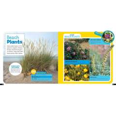 Little Kids First Nature Guide: Explore the Beach - Book - Paracay