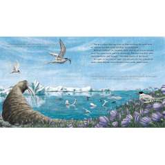 Narwhal: The Arctic Unicorn - Book - Paracay