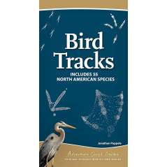 Bird Tracks - Adventure Quick Guides - Book - Paracay
