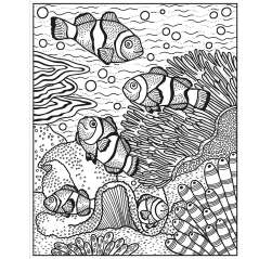 Coral Reef Magic Painting Book - Book - Paracay