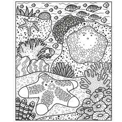 Coral Reef Magic Painting Book - Book - Paracay