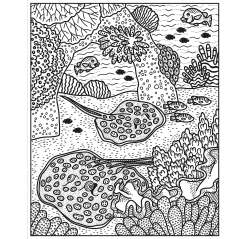 Coral Reef Magic Painting Book - Book - Paracay