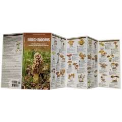 Mushrooms - A Folding Pocket Guide to Familiar North American Species - Laminated Pocket Guide - inside - Paradise Cay Publications