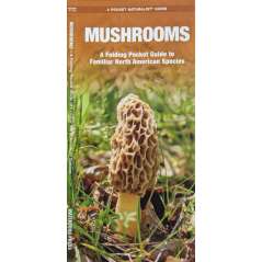 Mushrooms - A Folding Pocket Guide to Familiar North American Species - Laminated Pocket Guide - Paradise Cay Publications