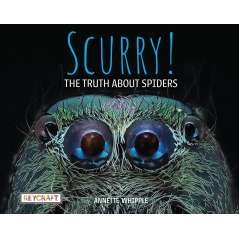 Scurry! The Truth About Spiders - Book - Paracay