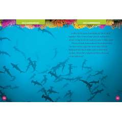 5-Minute Shark Stories - Book - Paracay