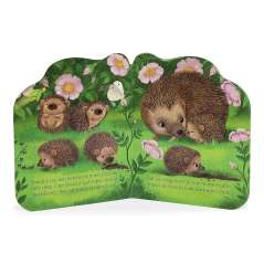 A Little Hedgehog - Book - Paracay