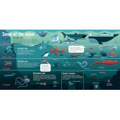 All Aboard! Submarines - Book - Paracay
