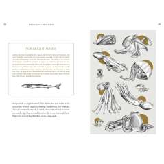 Amazing Octopus - Book - Paracay