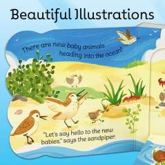 Babies in the Ocean - Book - Paracay