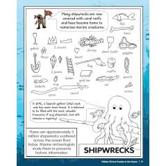 Hidden Picture Puzzles: In the Ocean - Book - Paracay