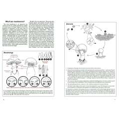 Mushrooms Of Cascadia: A Comprehensive Guide To Fungi Of The Pacific Northwest - Book - Paracay