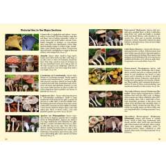 Mushrooms Of Cascadia: A Comprehensive Guide To Fungi Of The Pacific Northwest - Book - Paracay