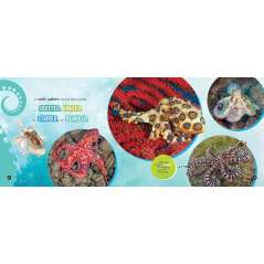 Mysterious, Marvelous Octopus - Book - Paracay