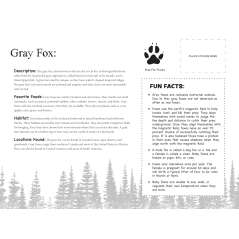 North American Wildlife Coloring Book - Book - Paracay
