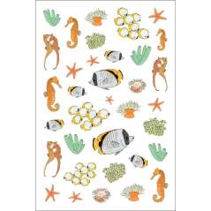Ocean Anatomy Sticker Book - Book - Paracay