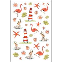 Ocean Anatomy Sticker Book - Book - Paracay