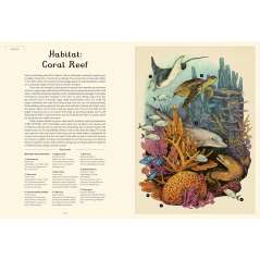 Oceanarium: Welcome to the Museum - Book - Paracay