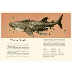 Oceanarium: Welcome to the Museum - Book - Paracay