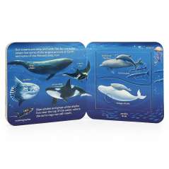 Peek-a-Flap Ocean - Book - Paracay