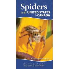 Spiders Of The United States & Canada - Book - Paracay