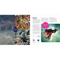 The Incredible Octopus - Book - Paracay