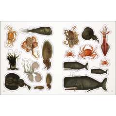 The Seashore Sticker Anthology - Book - Paracay