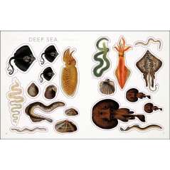 The Seashore Sticker Anthology - Book - Paracay