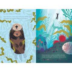 Over and Under the Waves - Book - Paracay