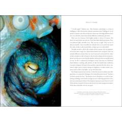 Secrets of the Octopus - Book - Paracay