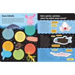 Awesome Weird Animals - Book - Paracay
