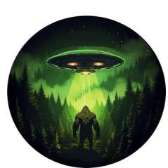 BF Abduction - Vinyl Sticker (1 STICKER) - Paracay