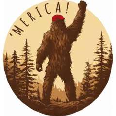 MERICA! - Vinyl Sticker (1 STICKER) - Paracay