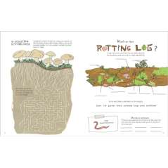 Julia-Rothman'S-Nature-Anatomy-Activity-Book-Book