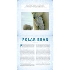 Polar-A-Photicular-Book-Book