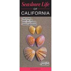 Seashore-Life-Of-California-Book
