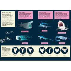 Shark-book-paracay