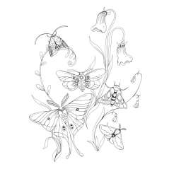 Woodland Wonderland - Book - Paracay