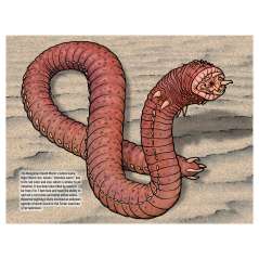 Cryptids - 2025 - Calendar - Paracay