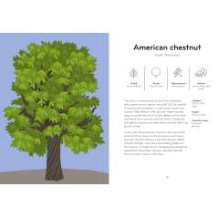Arborama: The Marvelous World Of Trees - Book - Paracay