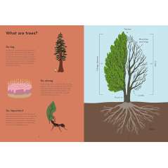 Arborama: The Marvelous World Of Trees - Book - Paracay