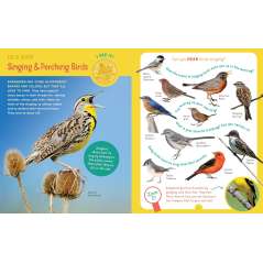 Backpack Explorer: Bird Watch - Book - Paracay