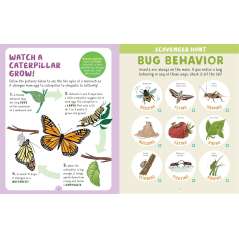 Backpack Explorer: Bug Hunt: What Will You Find? - Book - Paracay