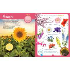 Backpack Explorer: Discovering Plants And Flowers - Book - Paracay