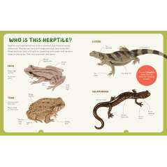 Backpack Explorer: Spotting Snakes And Frogs, And Other Reptiles And Amphibians - Book - Paracay